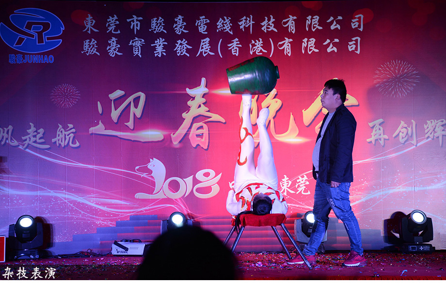 1-1P1300U043Z3 PP电子·仿照器(试玩游戏)官方网站