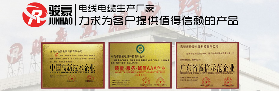 pp电子荣誉证书展示