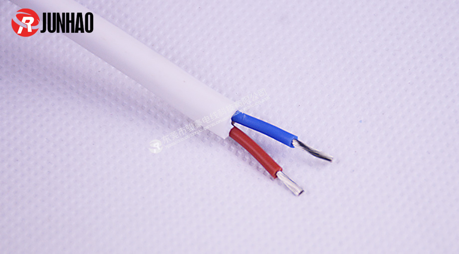 1-1P91Q40F5643 耐高温白色二插电源线产品图